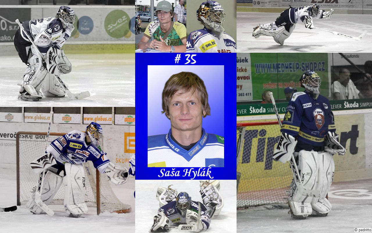 wallpap_Hylak_focal_BW.jpg
