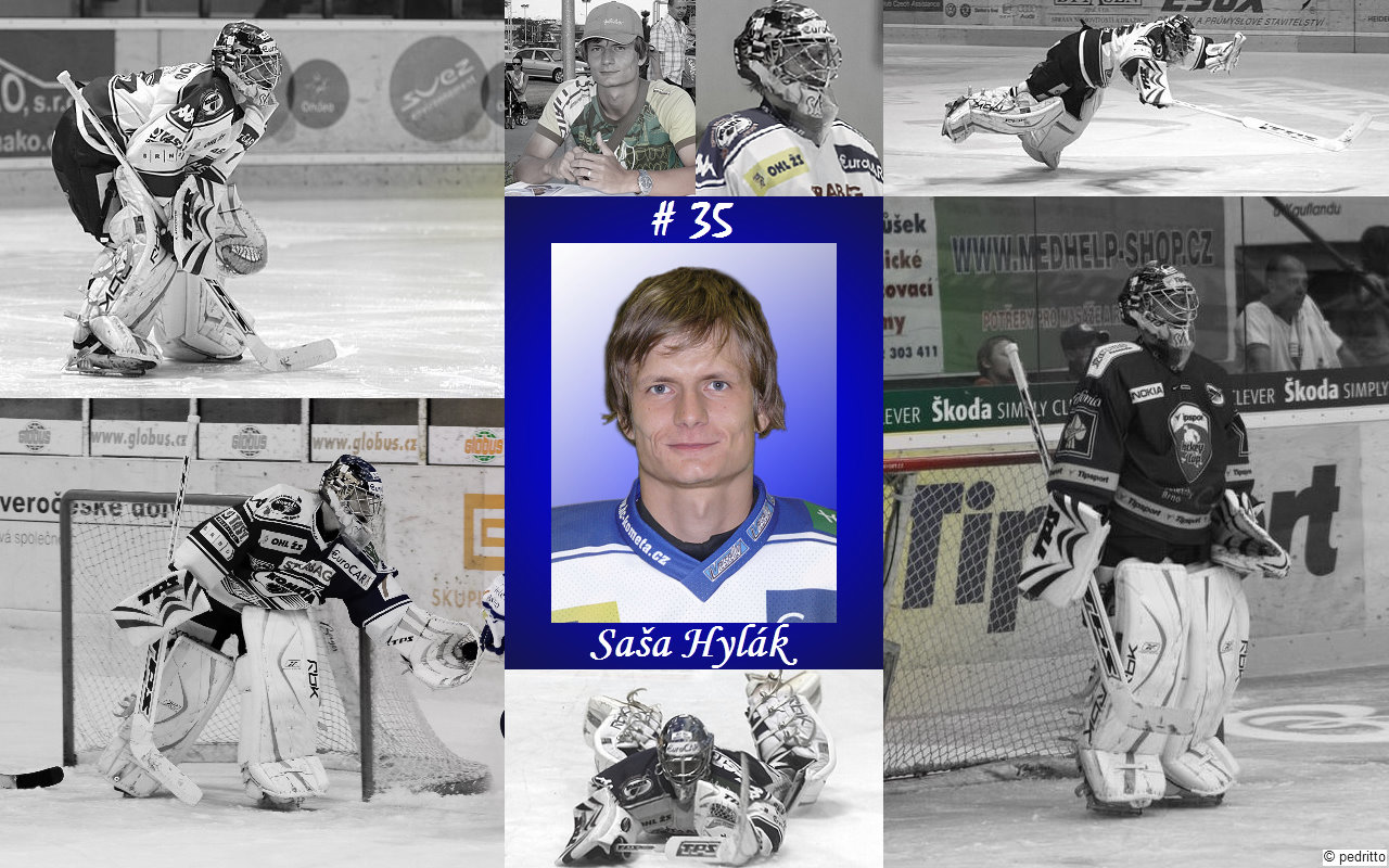 wallpap_Hylak_focal_BW2.jpg